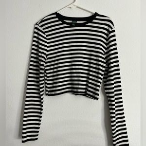 Long Sleeved Striped Crop Top- Wilde Fable